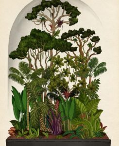 10546780 the botanical drawings of katie scott t31fb888c