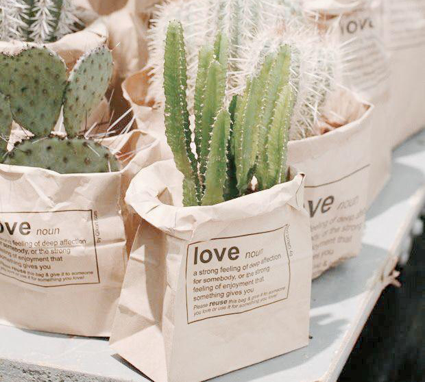 love cactus